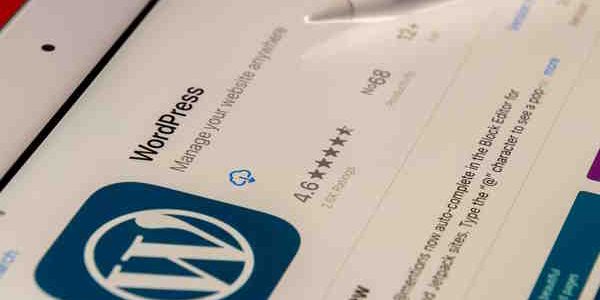 What is a WordPress Theme? Crafting Digital Experiences, One Theme at a Time.